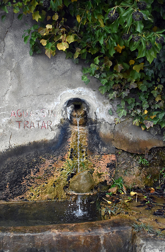 FUENTERIGLOjpg