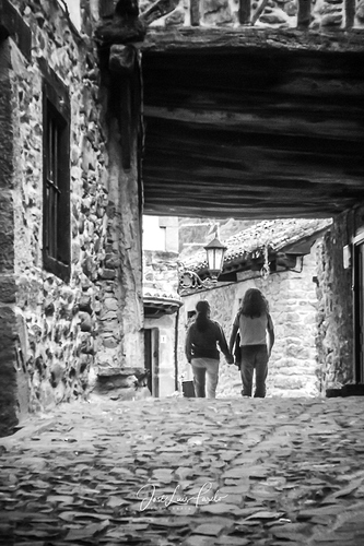 _MG_7858