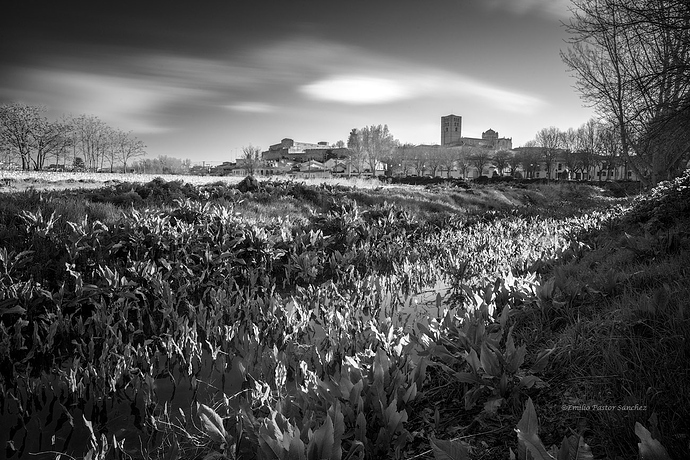 _DSC4852-3 copia