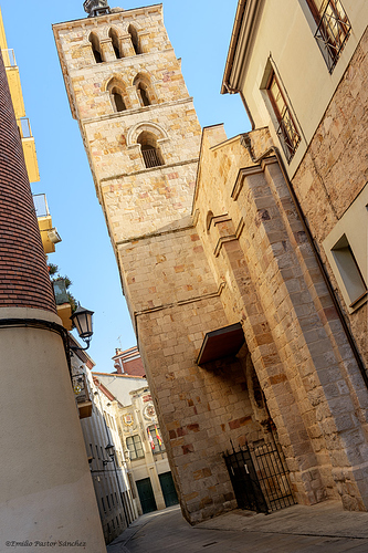 _DSC2559-1 copia