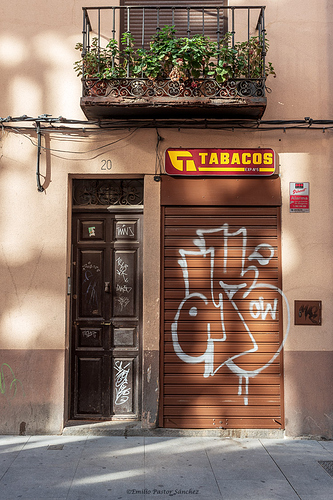 _DSC3146-1 copia