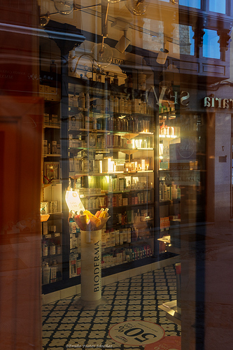 _DSC2446-1 copia
