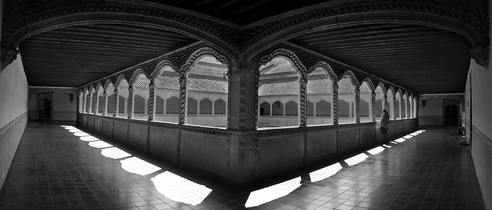 Claustro en Santo Tomas (Avila)