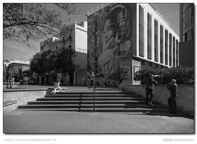 s_DSCF1937