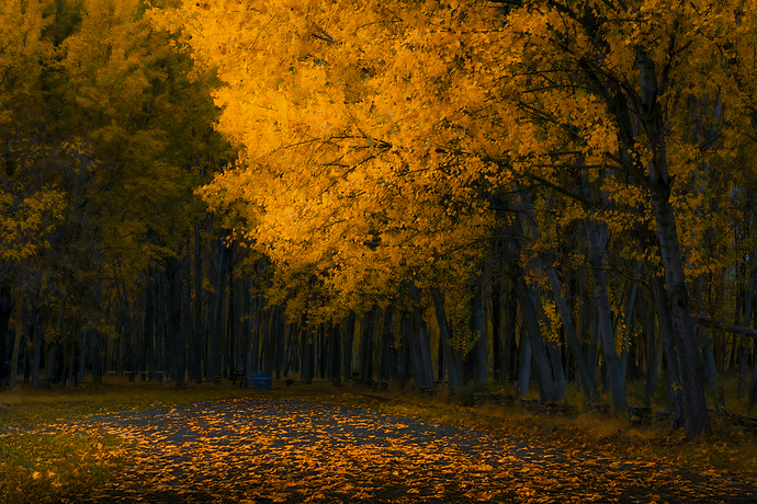 479de9a940856d8ee8966edfca9b1f5d467e8803