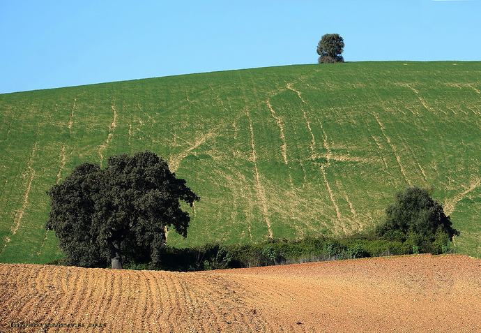 5a3c075b8679ce0ee17a03d41a72940762bfd1ed