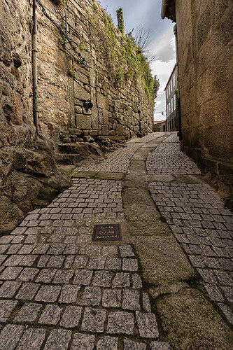 55189268481_8bd0d57f7a_b