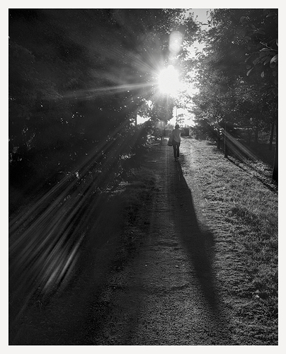 DSCF6435