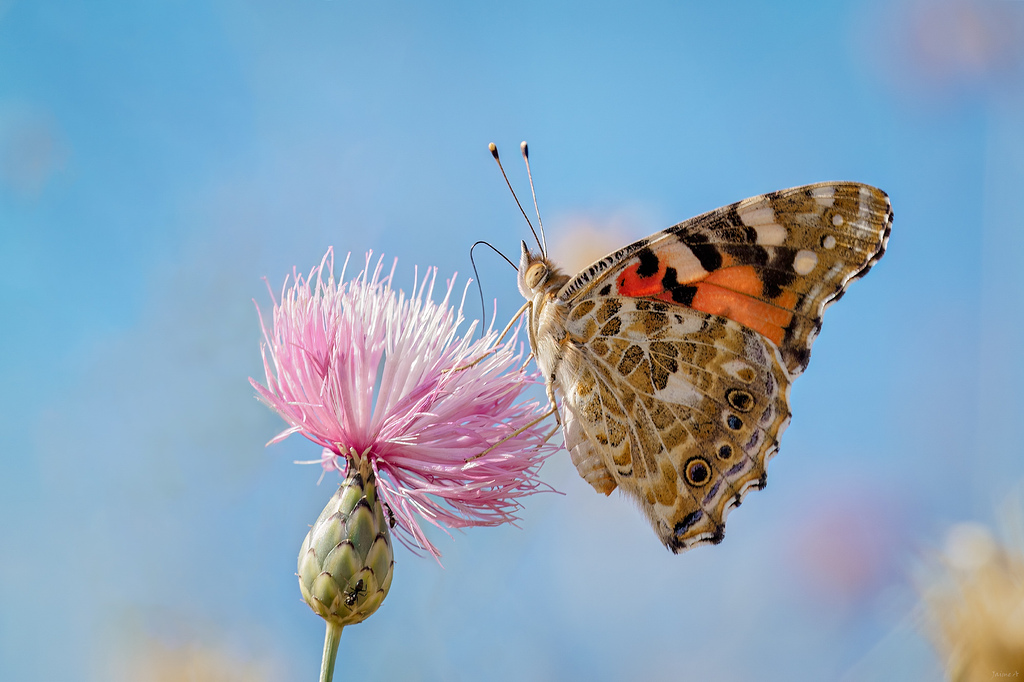 Una pausa para comer