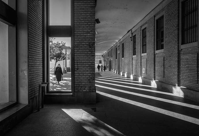 ZARAGOZA-2017-00000216