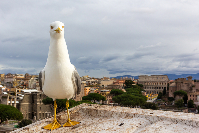 De paseo por Roma