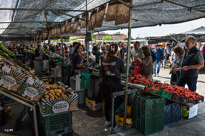 _DSC5531