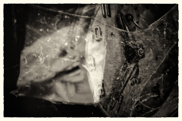 DSCF0419