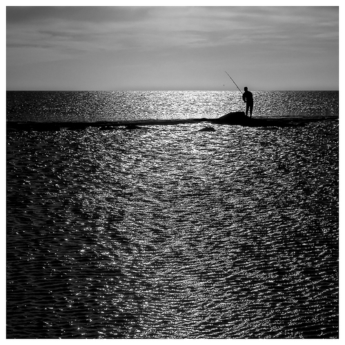 Pescador-solitario