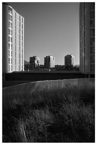 DSCF5872
