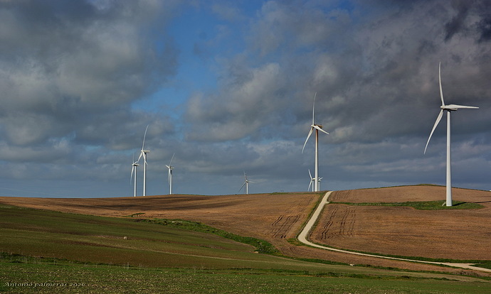 Camino a los molinos
