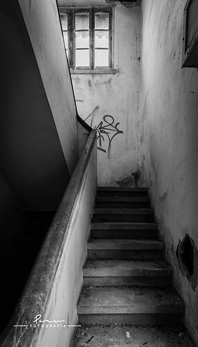 54780990571_0bcfe4f286_b