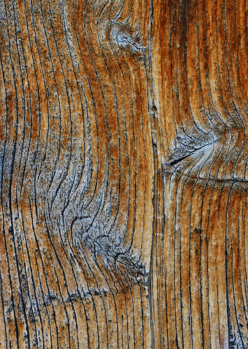 _DSC4382
