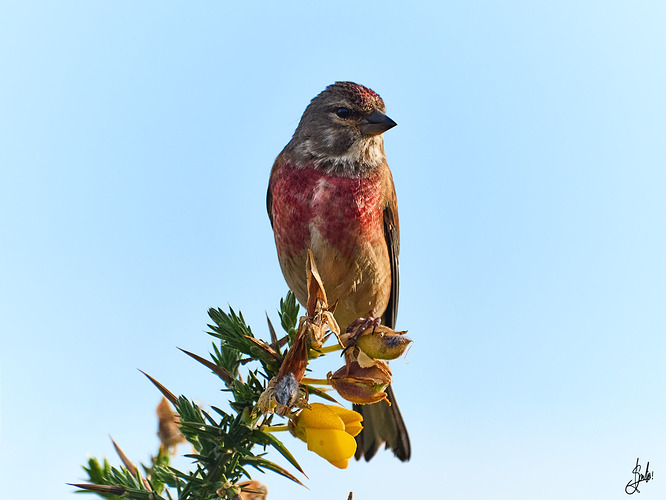 P5030257_1