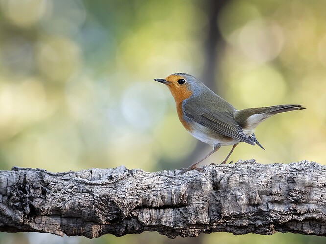 bda9bc9ae41366b16111704a92072549b4f44dfb (2)