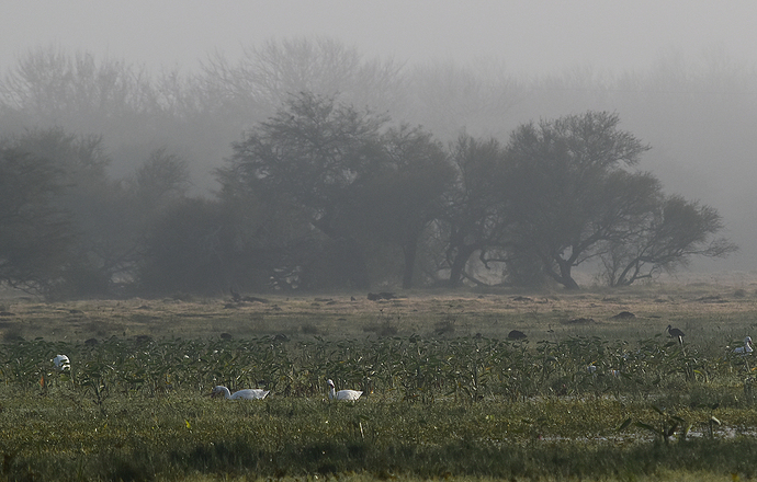 DSC_8779_Web