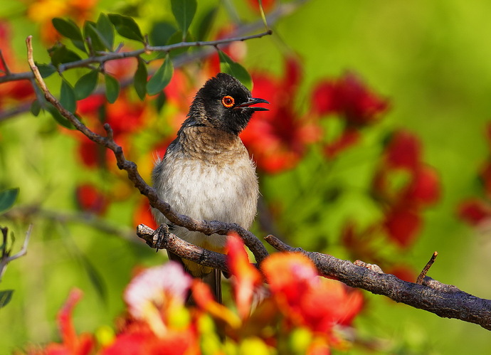 _DSC8994_redimensionar