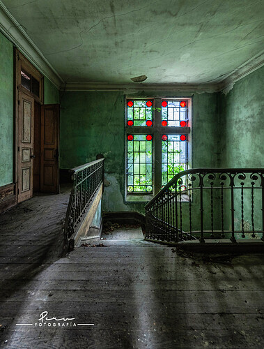 55074821291_d798b73d62_h