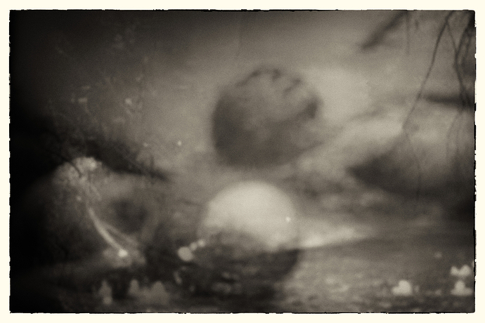 DSCF0458