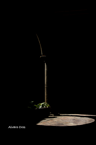 bocadito de luz