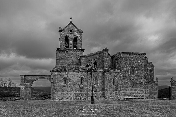 _DSC0528