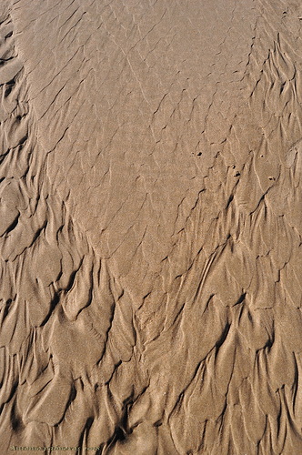 Formas y texturas
