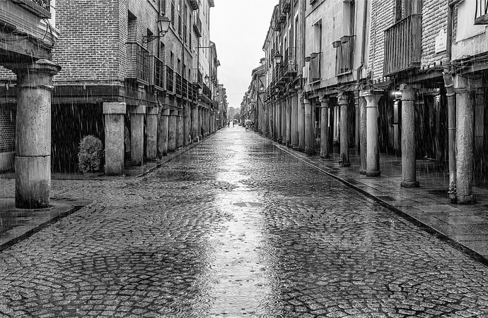 _DSC4974