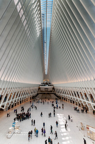 54984513585_ae82b71848_b (1)