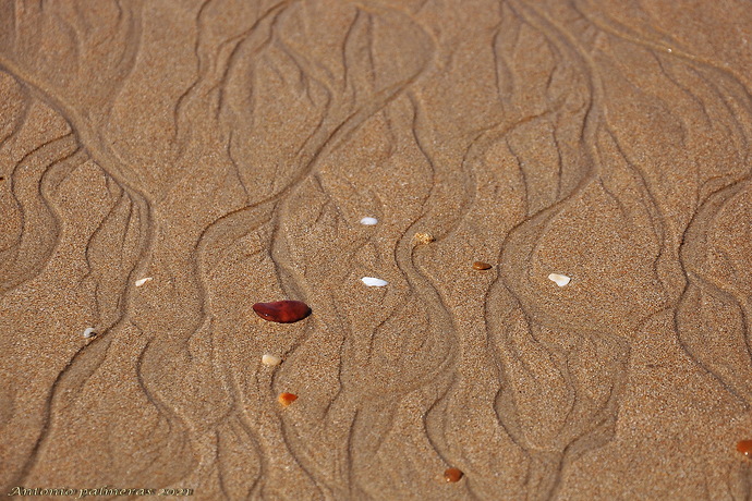 texturas (arena marina )