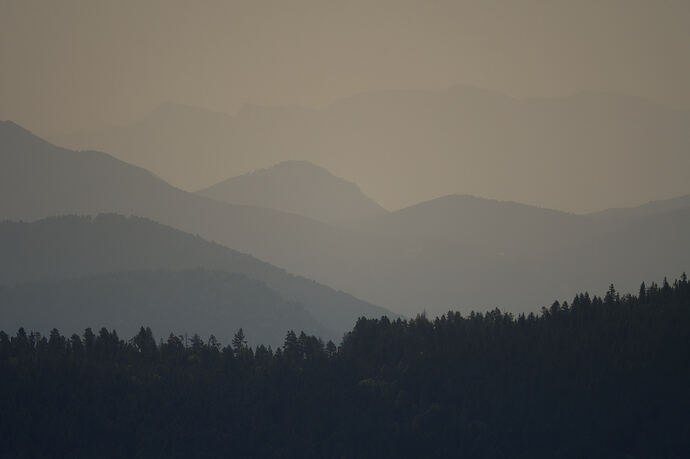 _ABE4660-NEF_DxO_DeepPRIMEXD