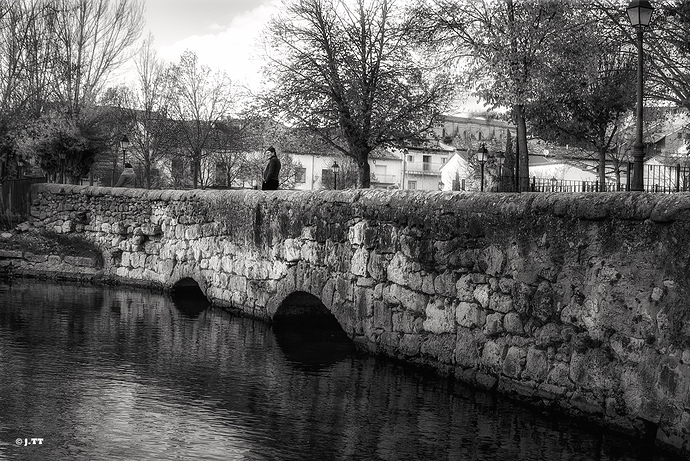 _DSC0259.NEF D90 (29)