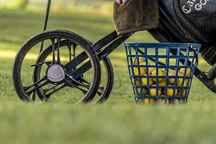 carrito de golf