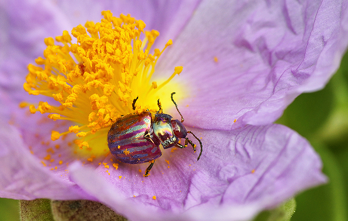 _DSC2837fs_fhdrlarge