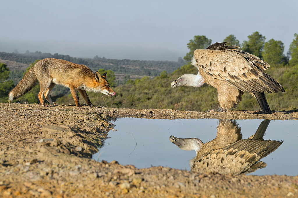 Encuentro inesperado