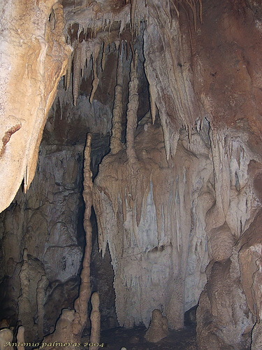 cueva el mosca r