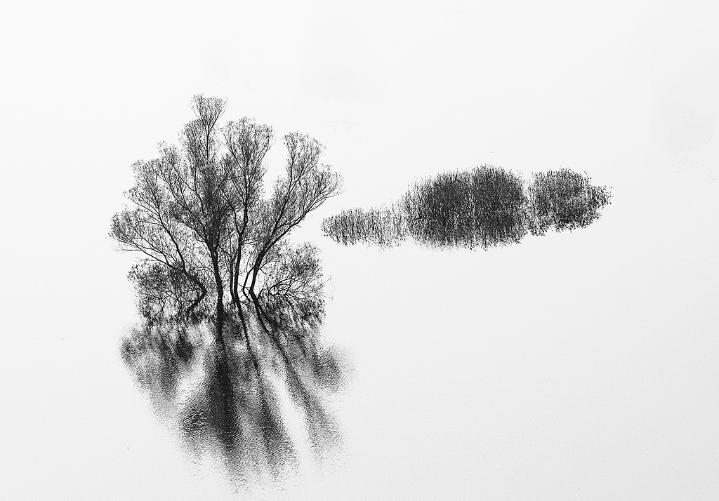 Después de la lluvia