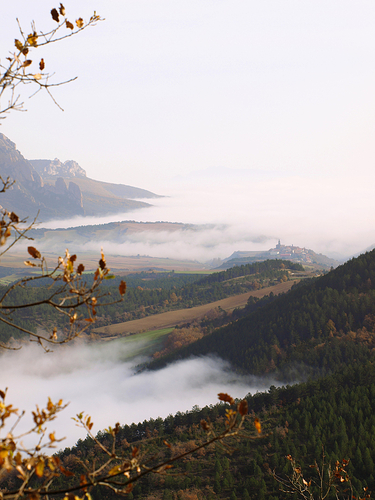 niebla pueblo ramas