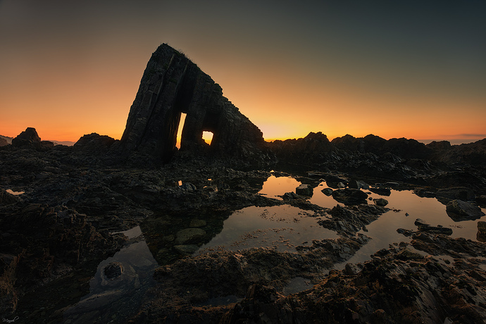 _DSC2808bbbbins
