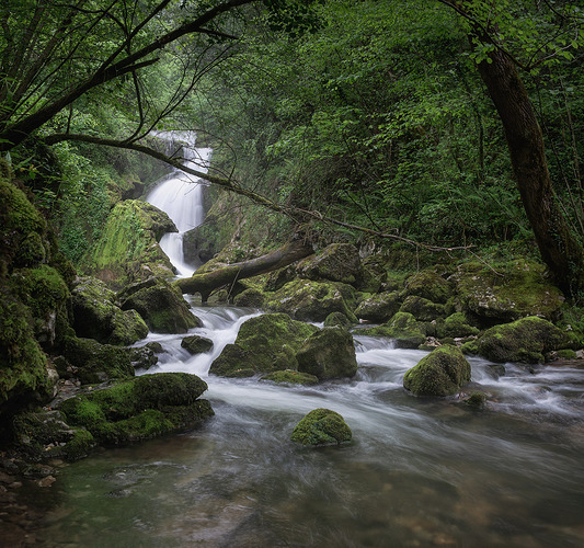 covadonga6-copia