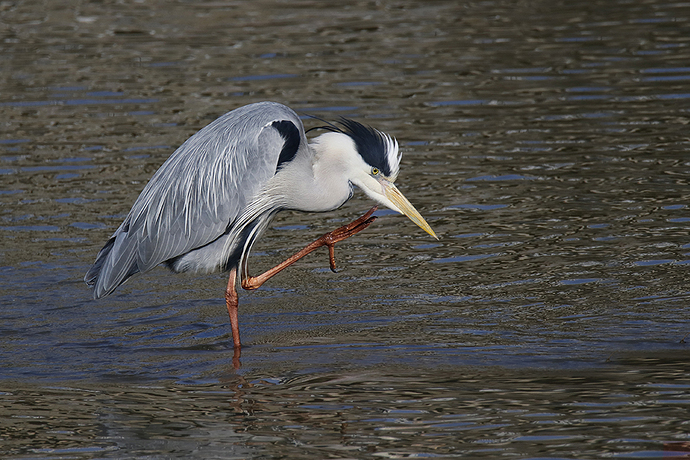 MG1251 LARGEODok - copia