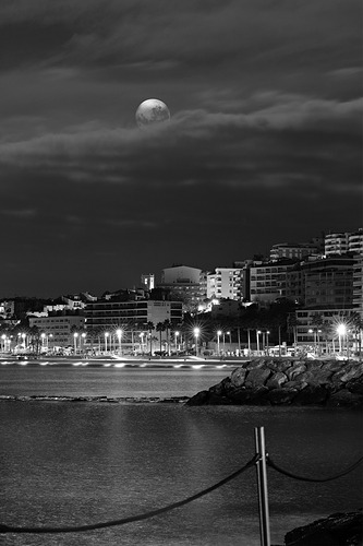 _MG_3973