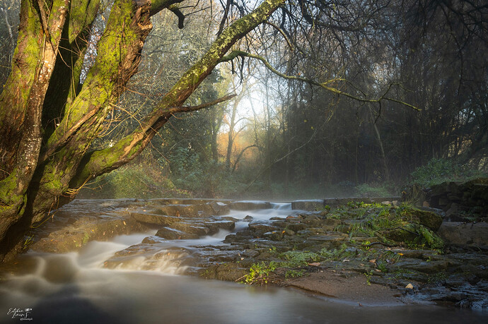 ff24cf64-0d29-438f-b7f6-eb29ebc30909