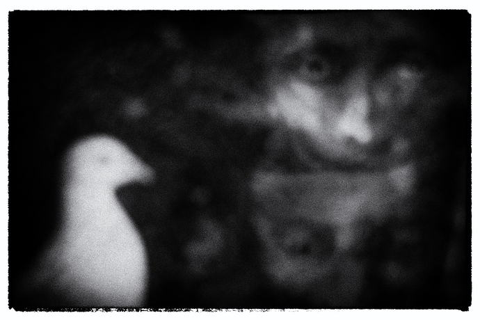 DSCF0437