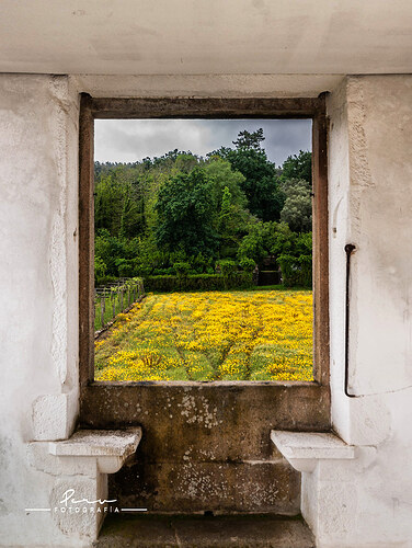 54992608110_e9d3336b7b_b