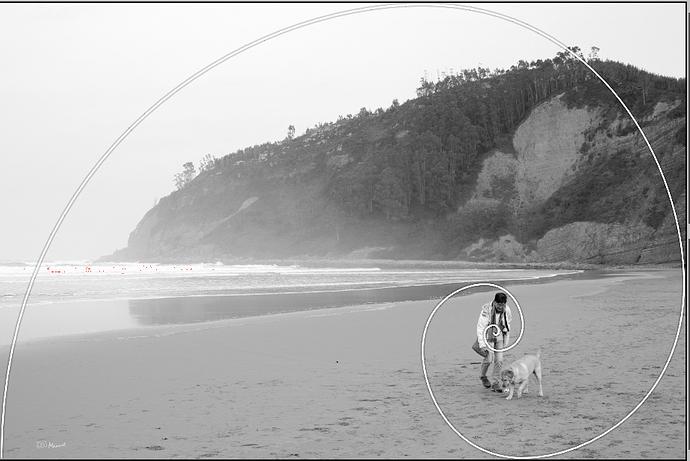 Captura de pantalla 2024-01-11 a las 7.57.29